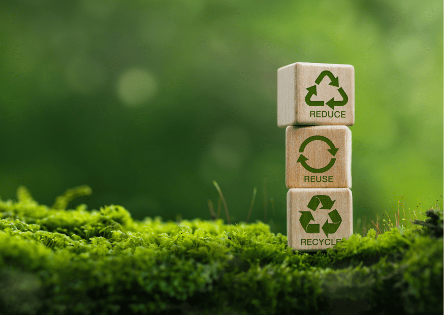 image illustrant l'écologie et des choix eco responsables en entreprise